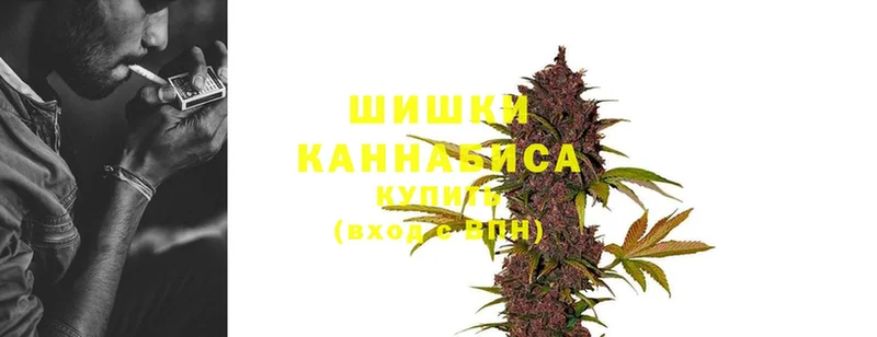 Конопля Bruce Banner  Всеволожск 